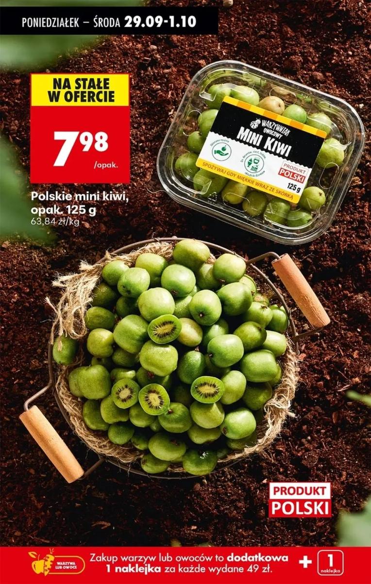 Gazetka promocyjna Biedronka str. 69