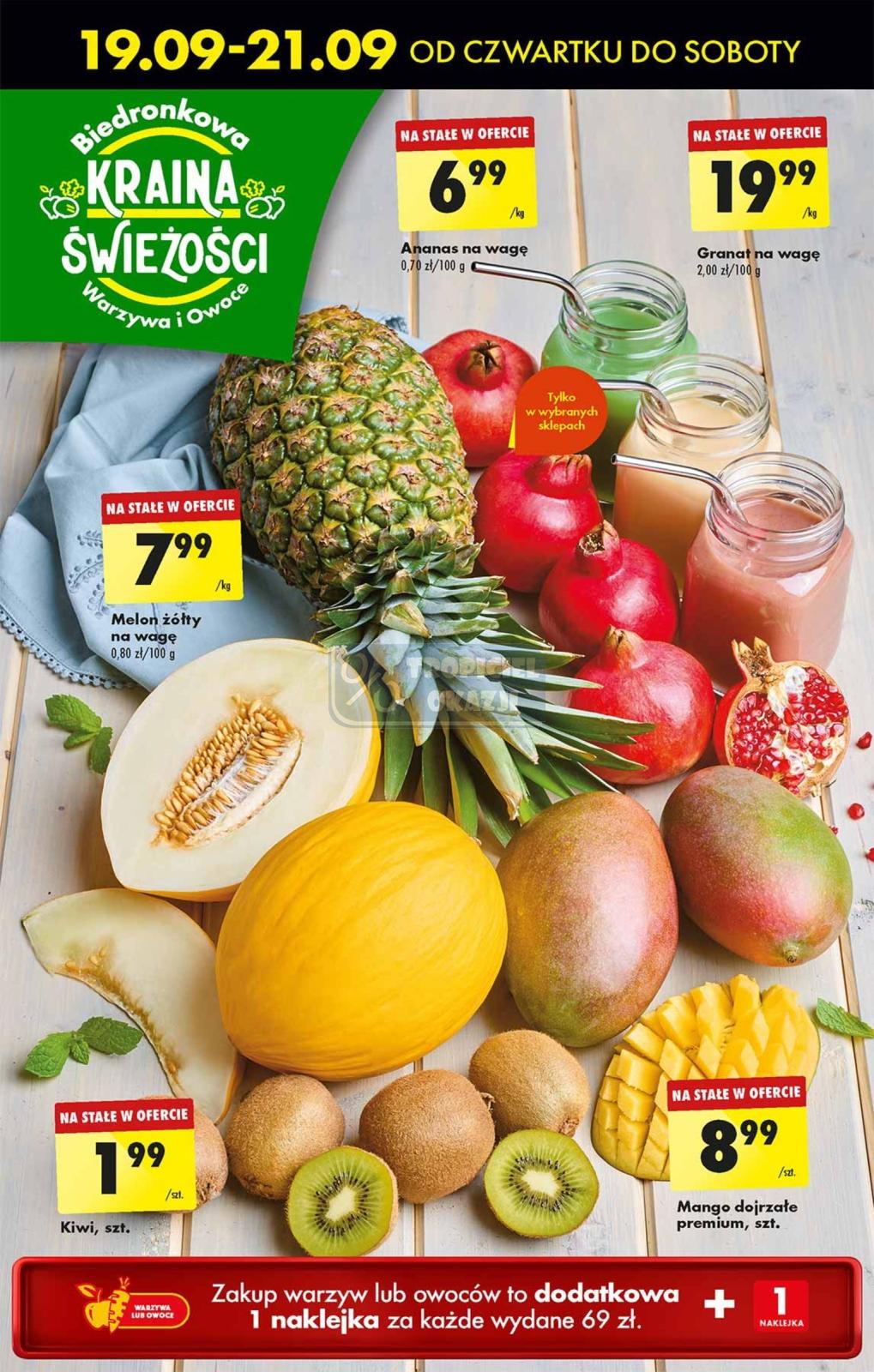 Gazetka promocyjna Biedronka str. 63