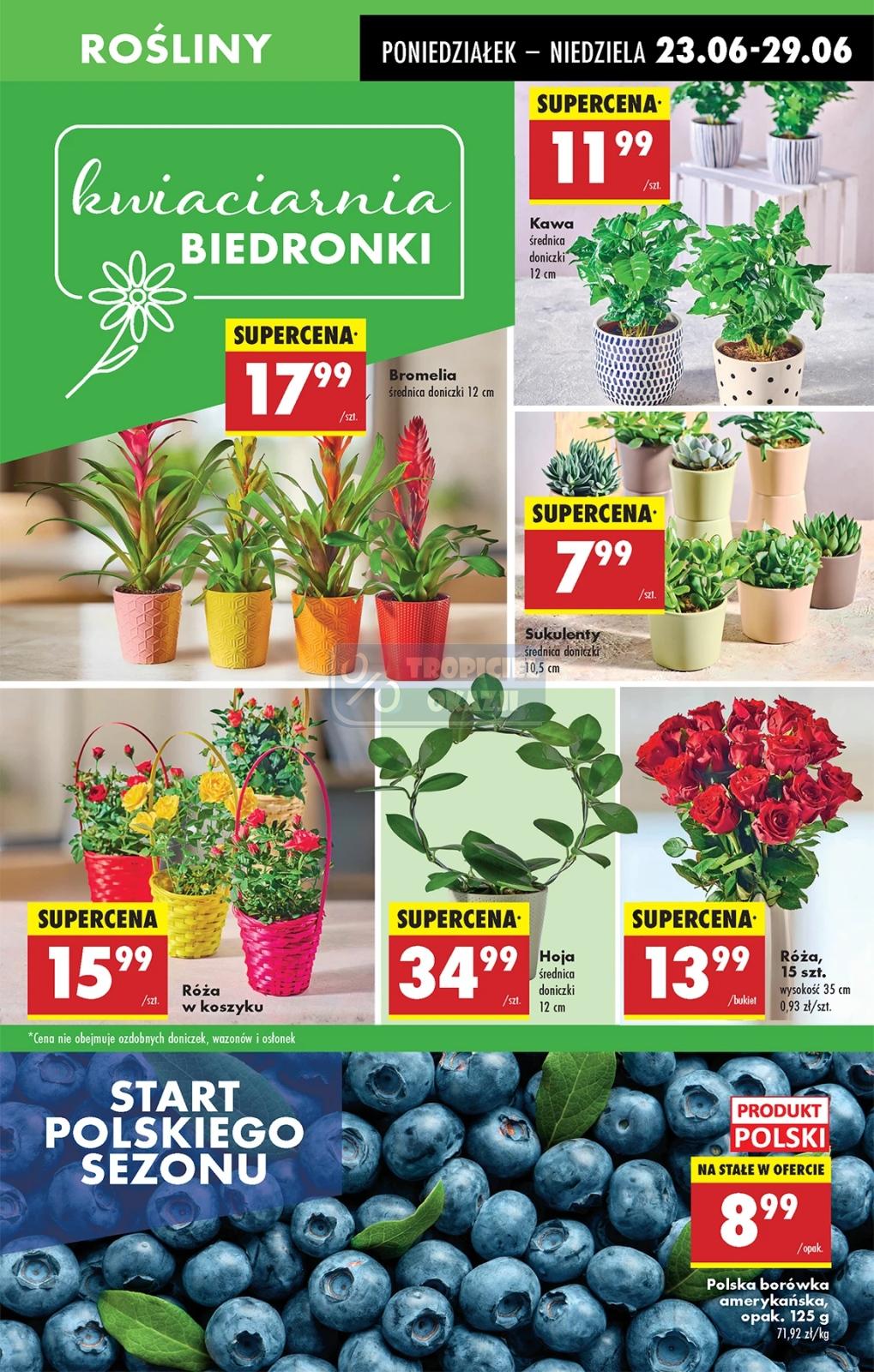 Gazetka promocyjna Biedronka str. 15